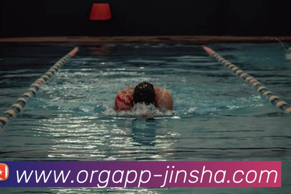 App Interface Preview