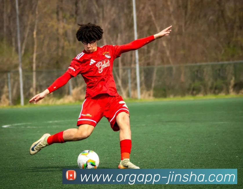 金沙国际APP 封面图